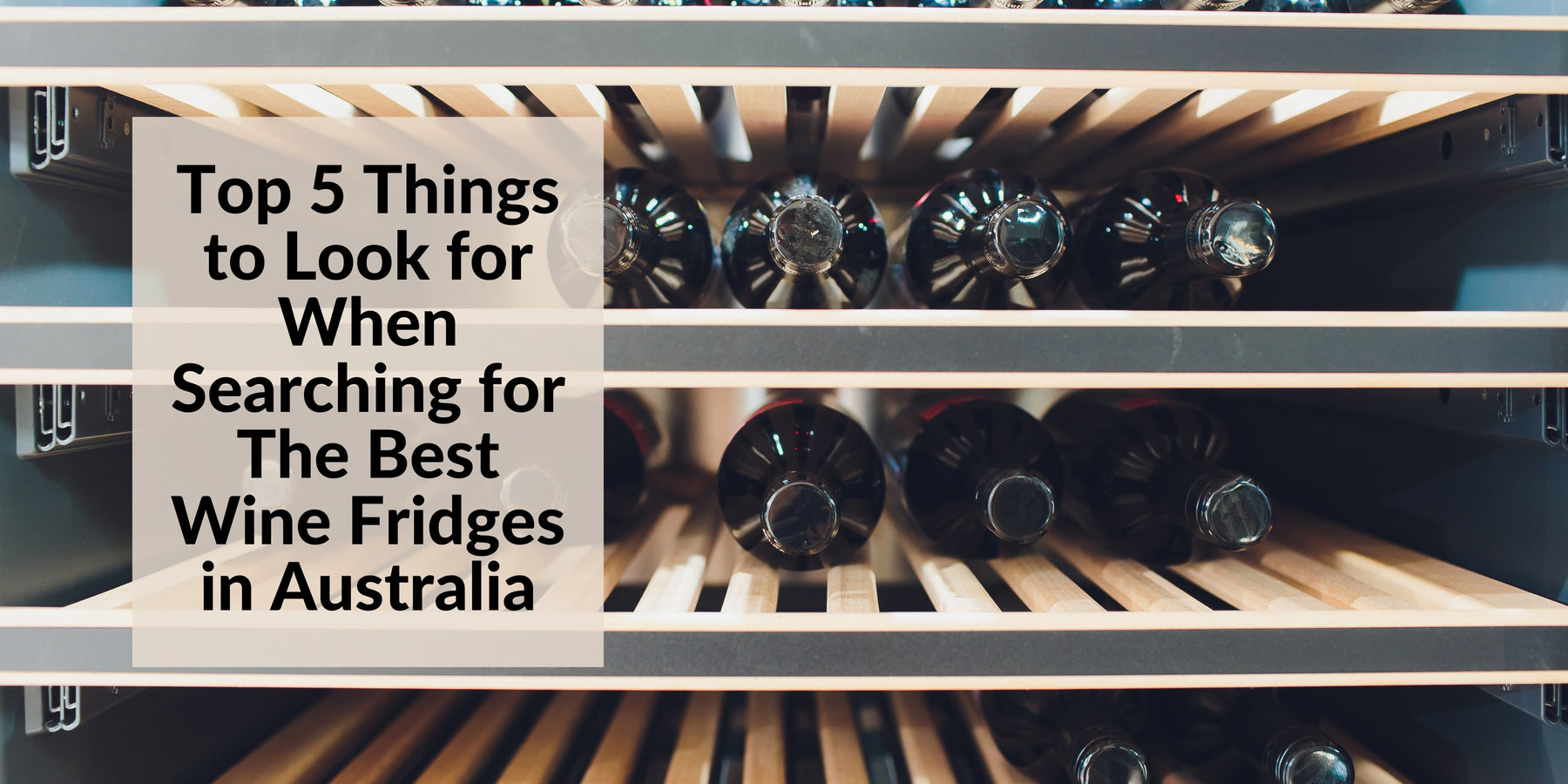 Top 5 Things to Look for When Searching for The Best Wine Fridges in Australia - Lushmist