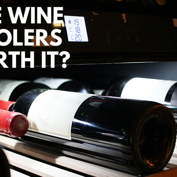 Are Wine Coolers Worth It? - Lushmist