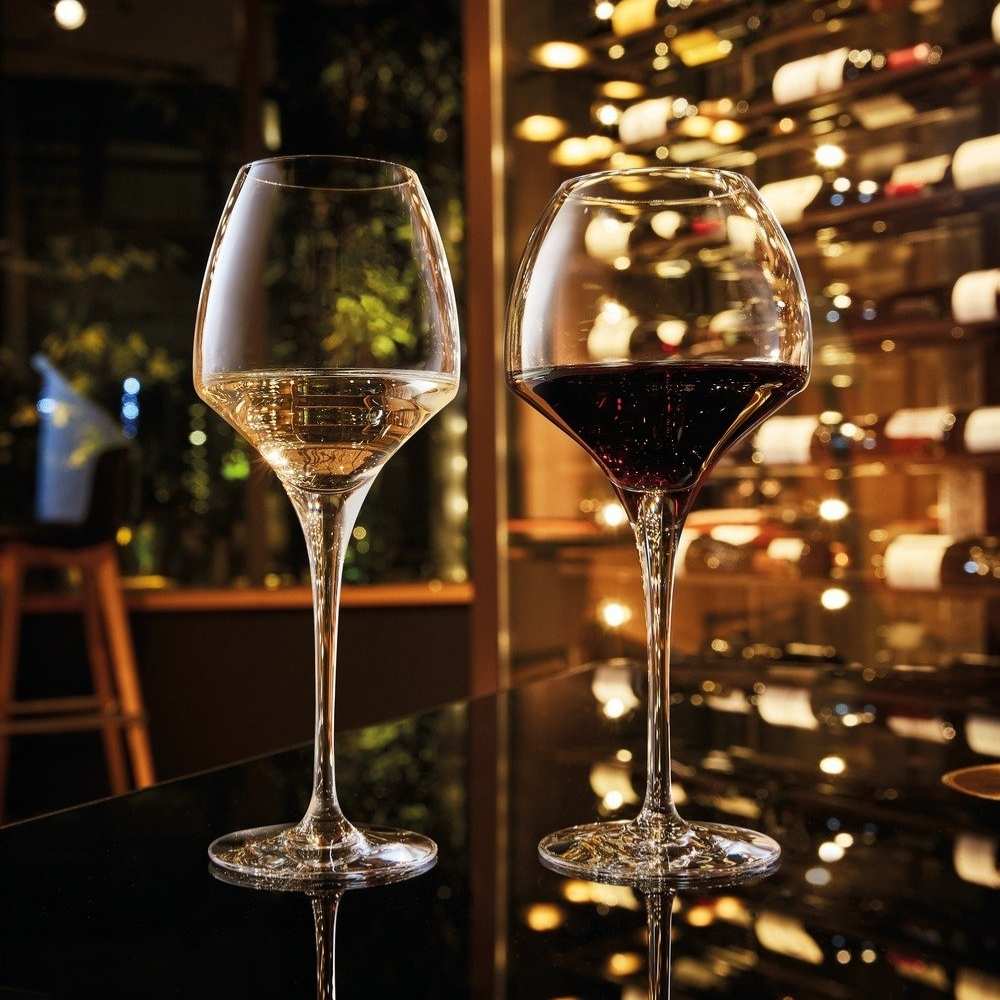 Chef&Sommelier Open Up 18.5 fl. oz. Tannic Stemmed Wine Glass (Set