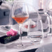 Chef & Sommelier Open Up Tannic Stem Glass 550ml (Set of 6) - lushmist